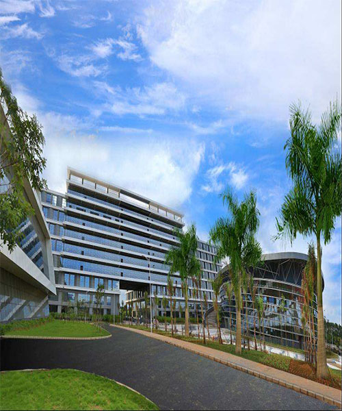 ���ڳ��ڻ�����������